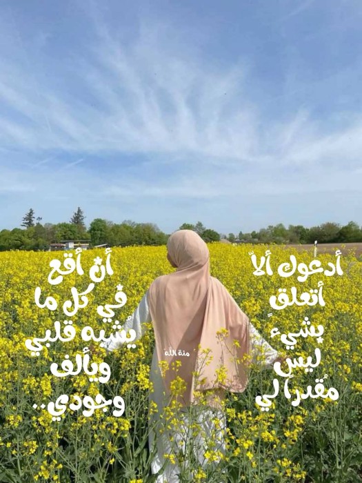 الصورة الشخصية لدينا يوسف
