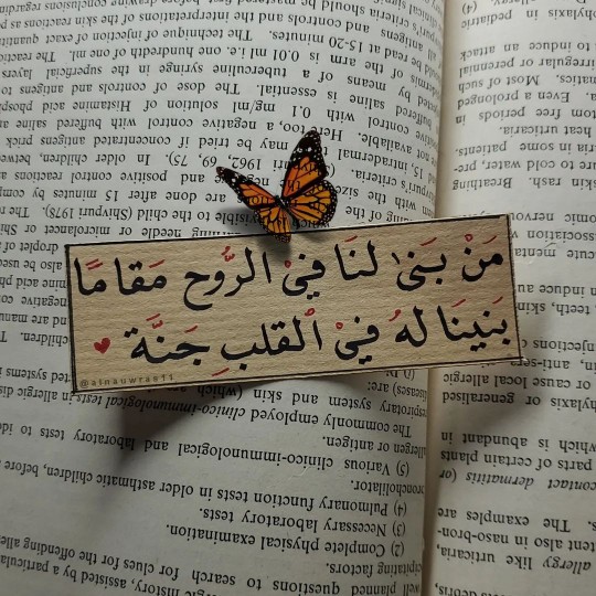 الصورة الشخصية لكمونه