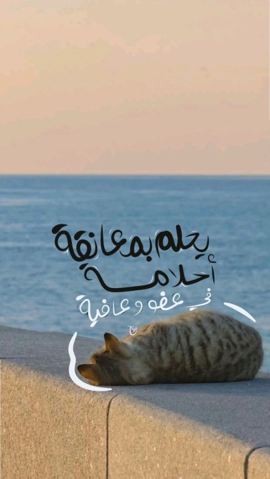 الصورة الشخصية لصابرين محمد