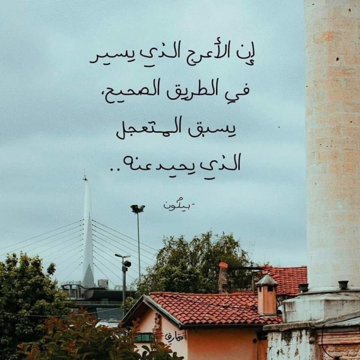 الصورة الشخصية ل♡ IBRAHIM