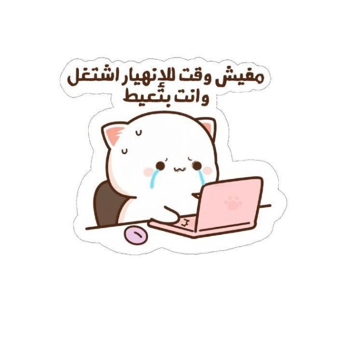 الصورة الشخصية لفاطمة حامد